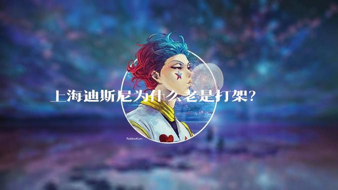 上海迪斯尼为什么老是打架？