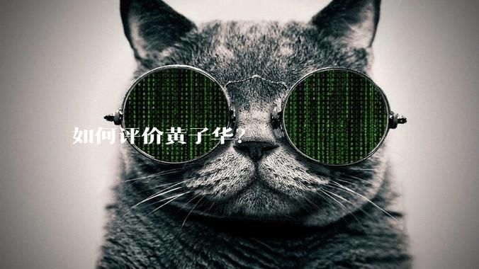 如何评价黄子华？