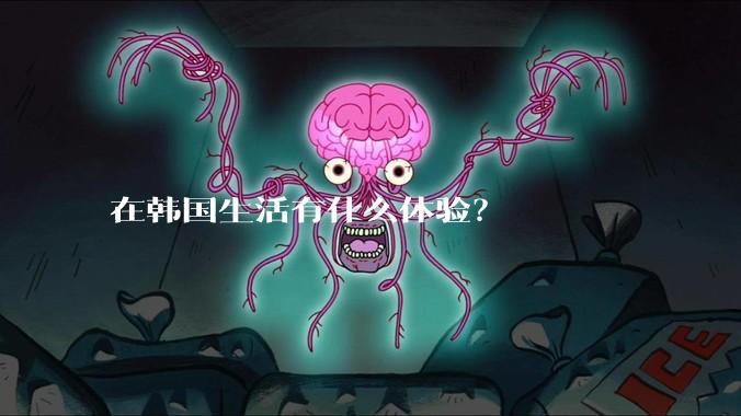 在韩国生活有什么体验？