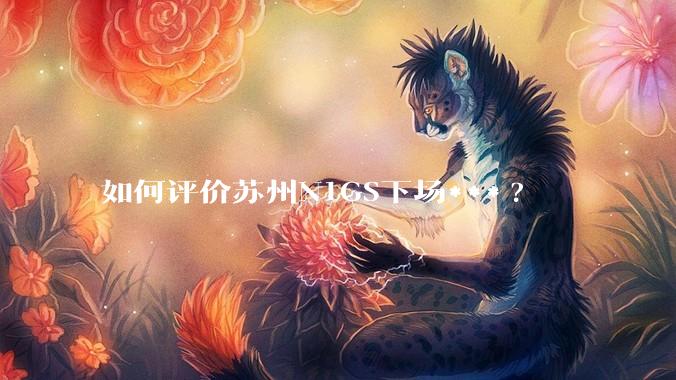 如何评价苏州N1GS下场***?