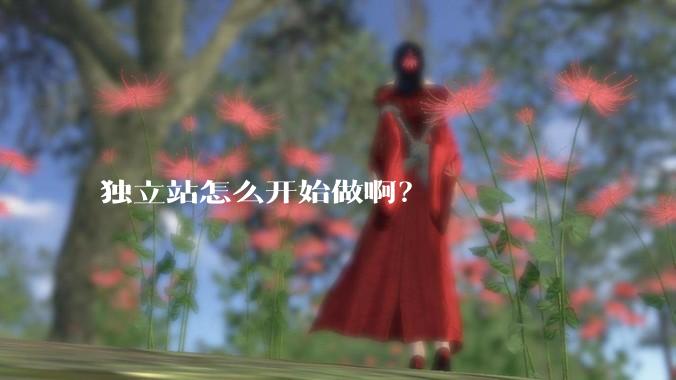 独立站怎么开始做啊？