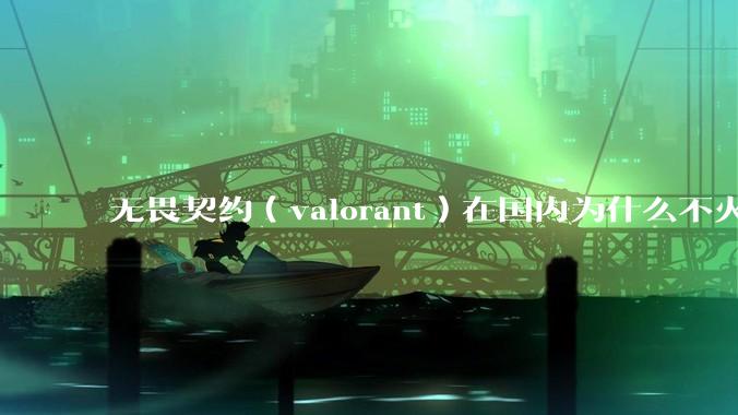 无畏契约（valorant）在国内为什么不火?