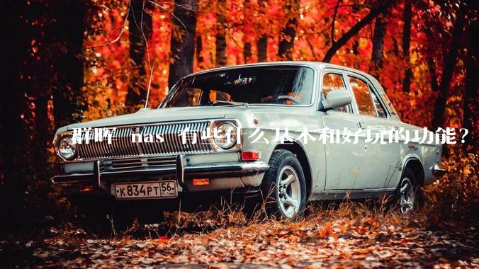 群晖 nas 有些什么基本和好玩的功能？