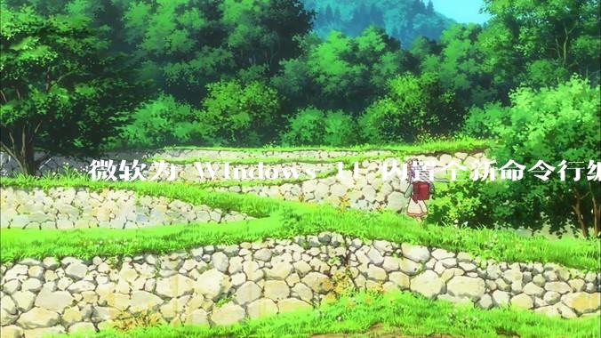 微软为 Windows 11 内置全新命令行编辑器 Edit，开源且轻巧，这款工具的推出是否有必要？