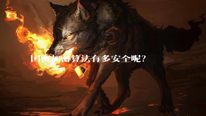 国密加密算法有多安全呢？