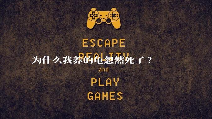 为什么我养的龟忽然死了?