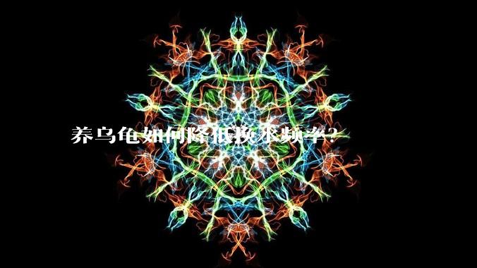 养乌龟如何降低换水频率？