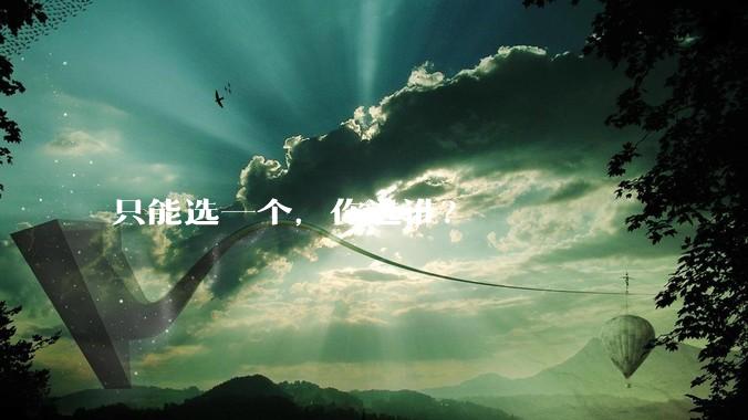 只能选一个，你选谁？