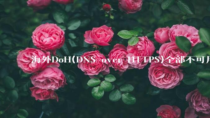 海外DoH(DNS over HTTPS)全部不可用了？是否有其他替代方式？