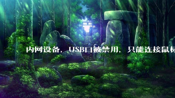 内网设备，USB口被禁用，只能连接鼠标和键盘，有什么办法可以实现数据拷入？