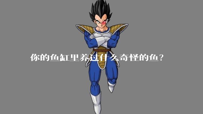 你的鱼缸里养过什么奇怪的鱼？