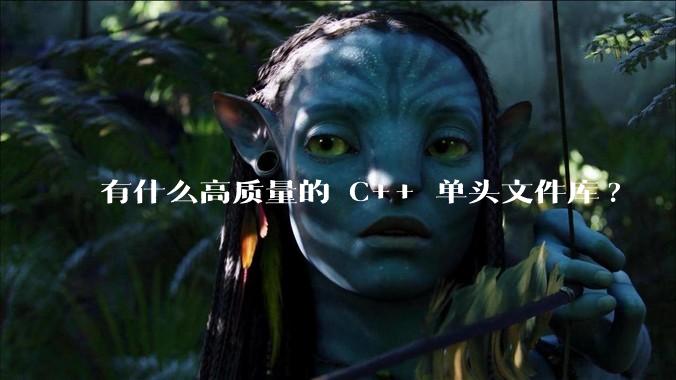 有什么高质量的 C++ 单头文件库?