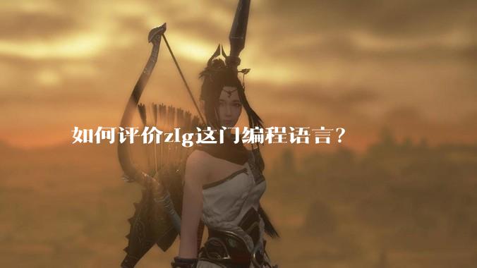 如何评价zig这门编程语言？