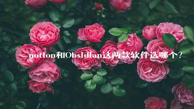 notion和Obsidian这两款软件选哪个？