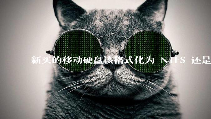 新买的移动硬盘该格式化为 NTFS 还是 exFAT？