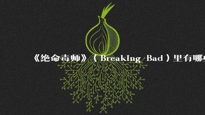 《绝命毒师》（Breaking Bad）里有哪些硬伤？