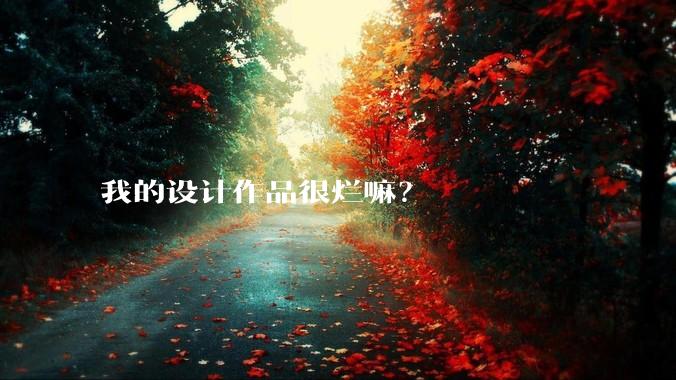 我的设计作品很烂嘛？