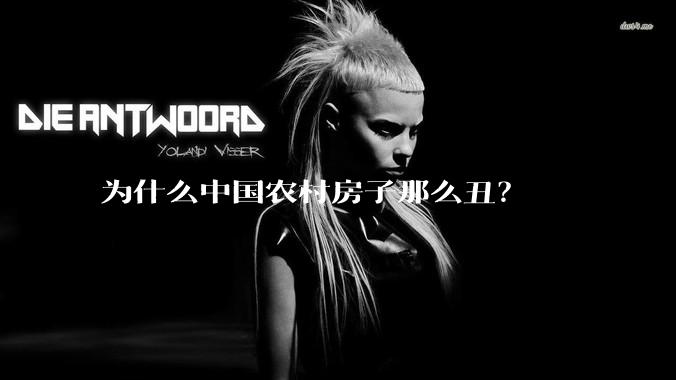 为什么中国农村房子那么丑？
