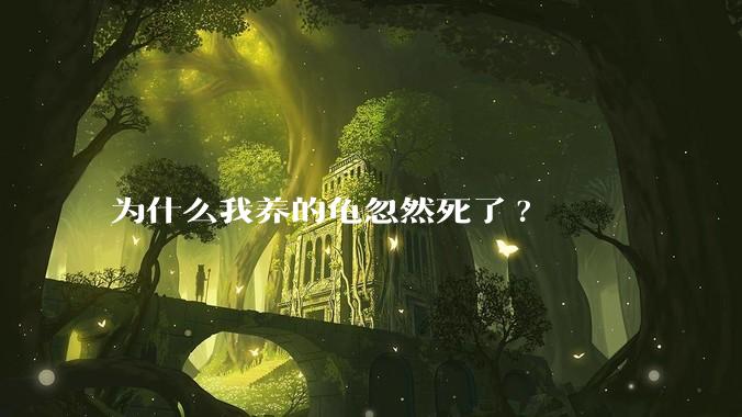 为什么我养的龟忽然死了?
