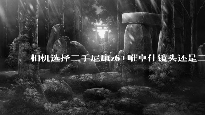 相机选择二手尼康z6+唯卓仕镜头还是二手松下s5+美科镜头。主要是拍人像?