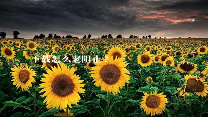下载怎么老阻止?
