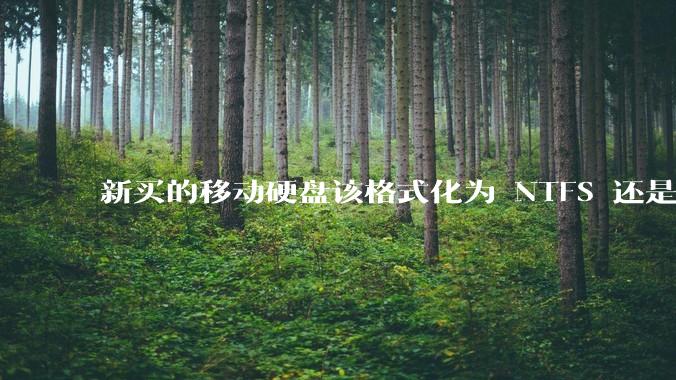 新买的移动硬盘该格式化为 NTFS 还是 exFAT？