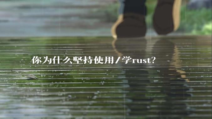 你为什么坚持使用/学rust？