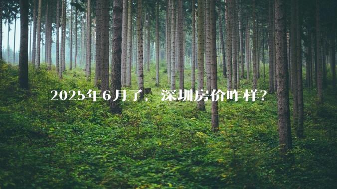 2025年6月了，深圳房价咋样？