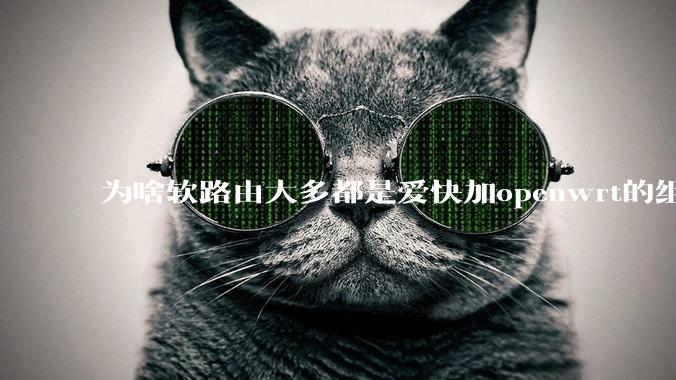 为啥软路由大多都是爱快加openwrt的组合，单openwrt有什么缺点嘛？