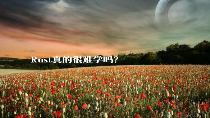 Rust真的很难学吗？