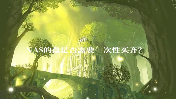 NAS的盘是否需要一次性买齐？