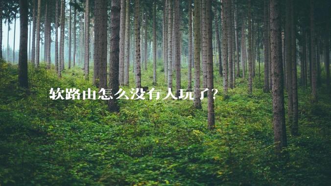 软路由怎么没有人玩了？