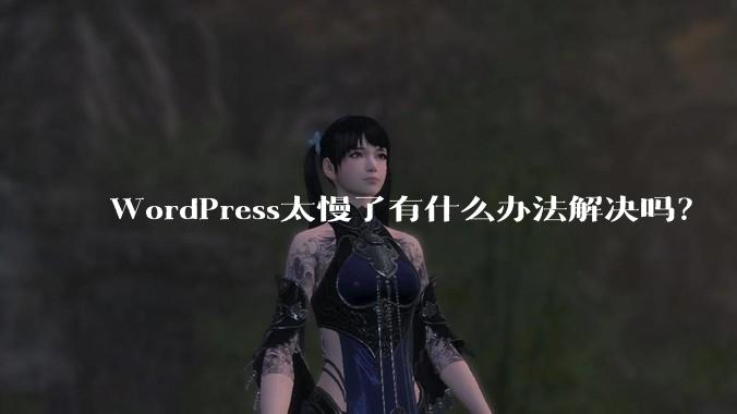 WordPress太慢了有什么办法解决吗？