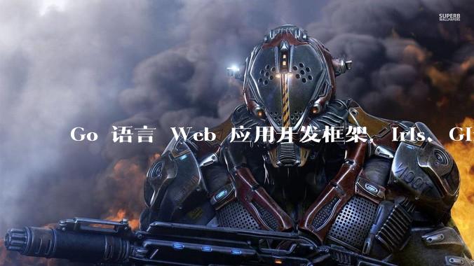 Go 语言 Web 应用开发框架，Iris、Gin、Echo，哪一个更适合大型项目？