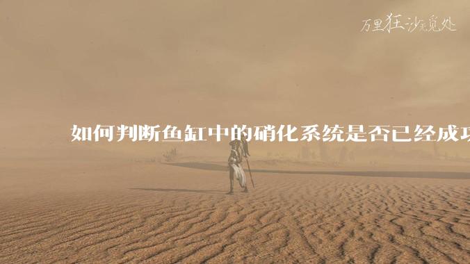 如何判断鱼缸中的硝化系统是否已经成功建立？