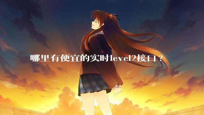 哪里有便宜的实时level2接口?