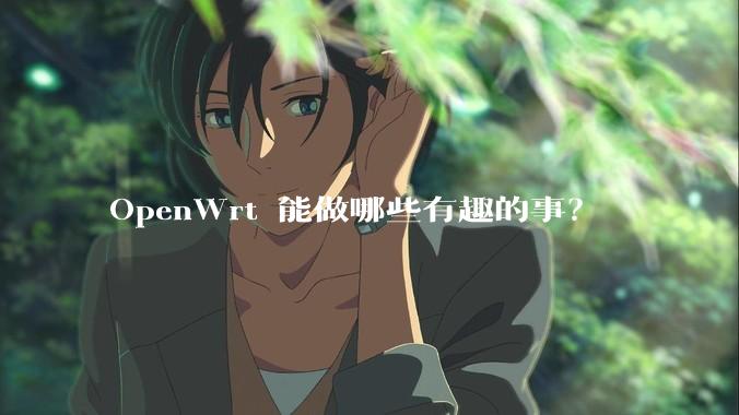 OpenWrt 能做哪些有趣的事？