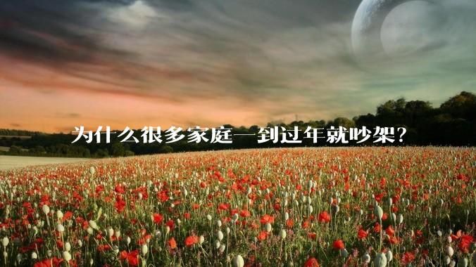 为什么很多家庭一到过年就吵架？