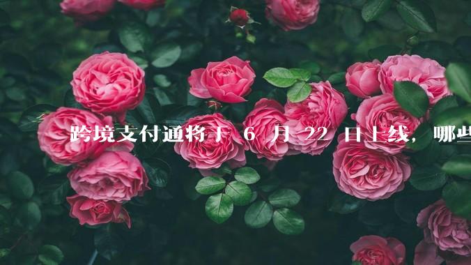 跨境支付通将于 6 月 22 日上线，哪些银行的客户可以直接向香港账户转账？