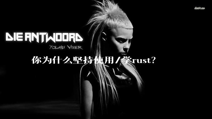 你为什么坚持使用/学rust？