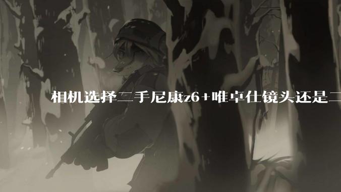 相机选择二手尼康z6+唯卓仕镜头还是二手松下s5+美科镜头。主要是拍人像?