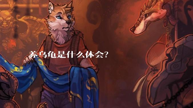 养乌龟是什么体会？