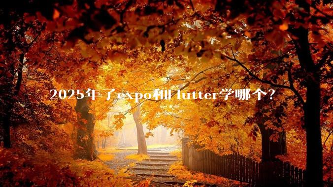 2025年了expo和Flutter学哪个？