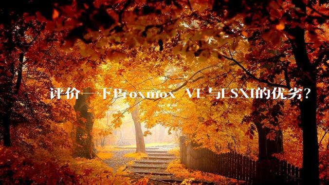评价一下Proxmox VE与ESXi的优劣？