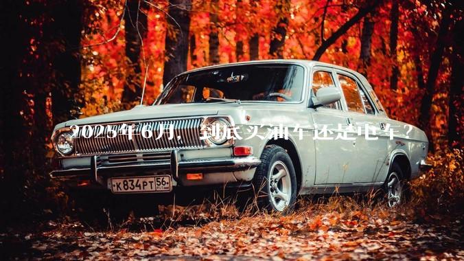 2025年6月，到底买油车还是电车？