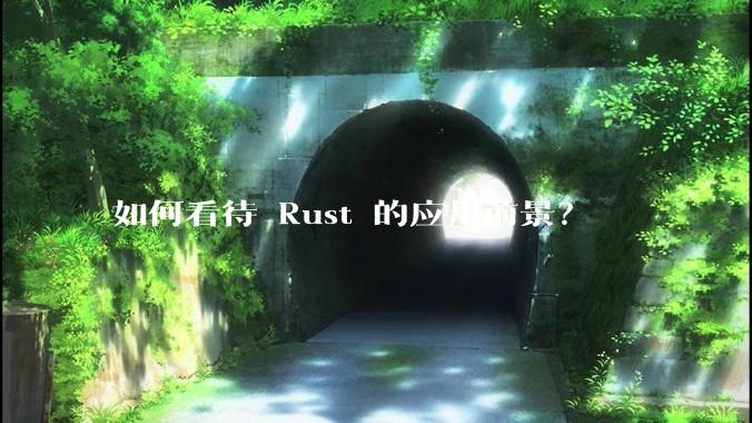 如何看待 Rust 的应用前景？