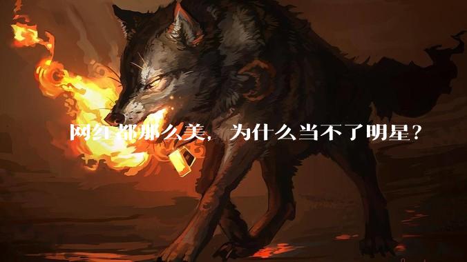 网红都那么美，为什么当不了明星？