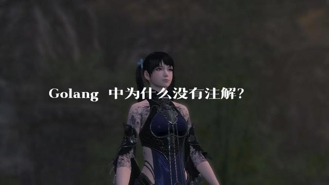 Golang 中为什么没有注解？