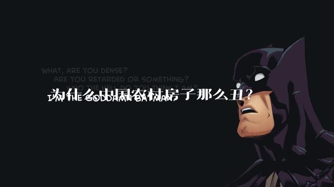 为什么中国农村房子那么丑？