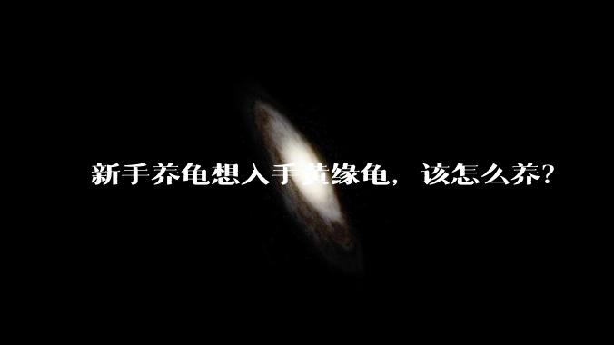 新手养龟想入手黄缘龟，该怎么养？